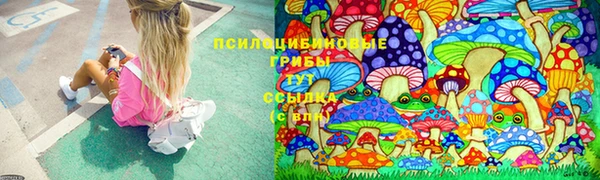кокс Михайлов