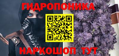 молекула духа Гатчина