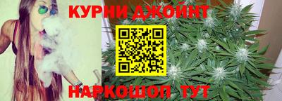 молекула духа Гатчина