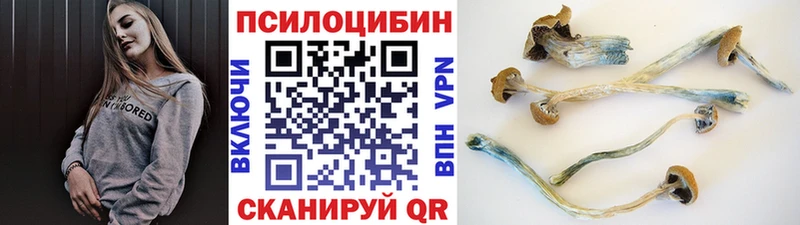 Псилоцибиновые грибы Magic Shrooms  цены наркотик  Курск 