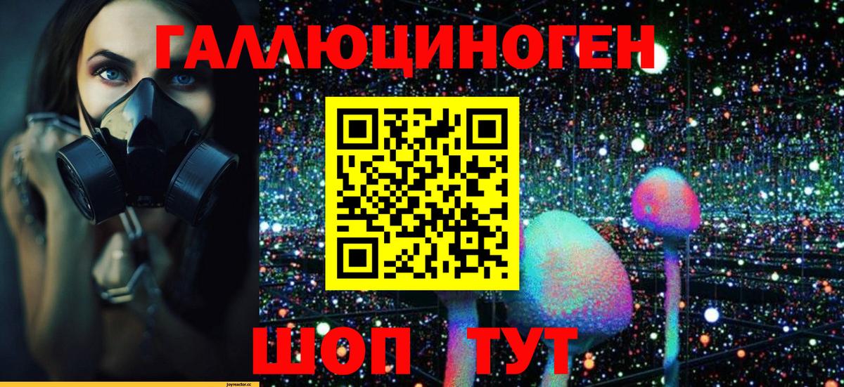 Галлюциногенные грибы Psilocybine cubensis  Вход с VPN  Курск 