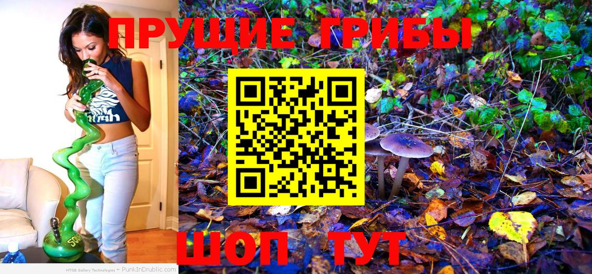 Псилоцибиновые грибы Psilocybe  Галлюциногенные грибы прущие грибы  Вход с VPN  Курск 